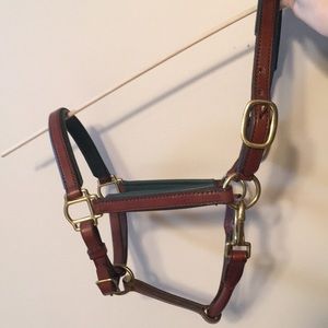 Horse English show halter.